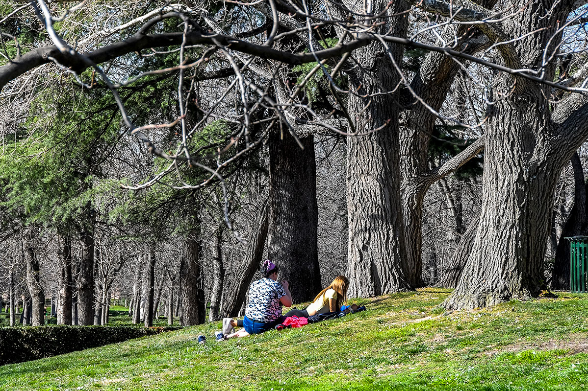 madridelretiro12