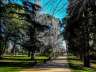 elretiro37