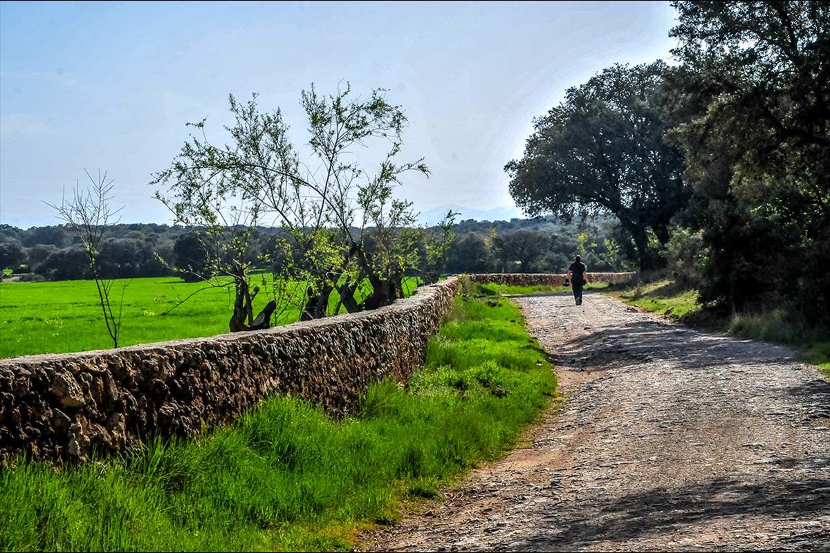 fatimbullar-dehesa-de-agron-02