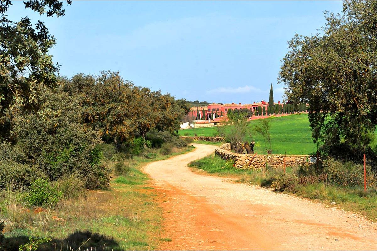 fatimbullar-dehesa-de-agron-03