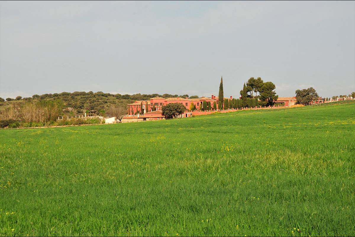 fatimbullar-dehesa-de-agron-10