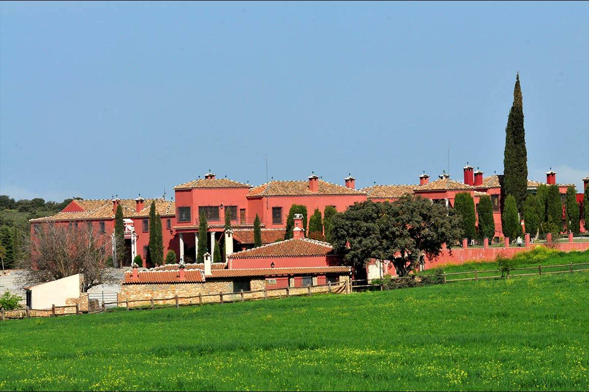 fatimbullar-dehesa-de-agron-11