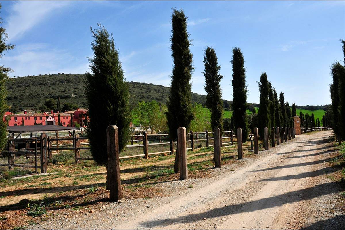 fatimbullar-dehesa-de-agron-13