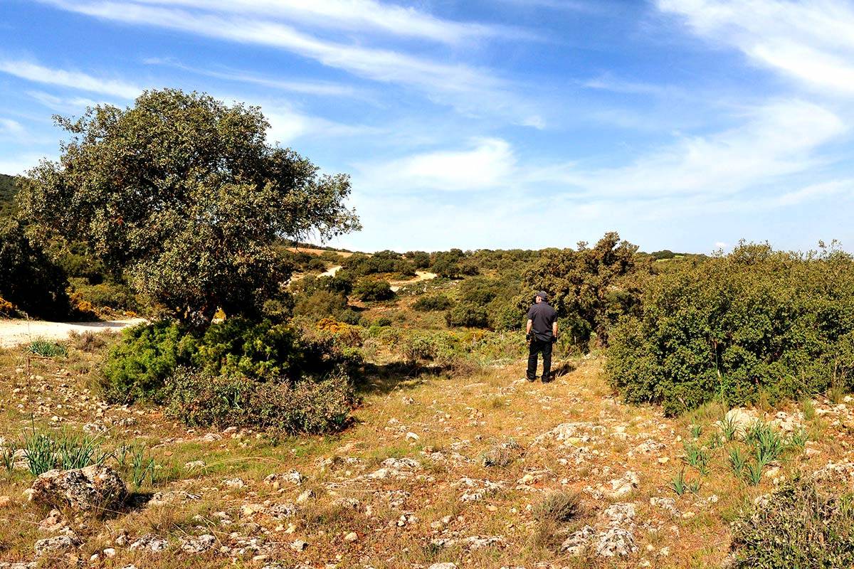 fatimbullar-dehesa-de-agron-18