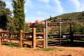 fatimbullar-dehesa-de-agron-06