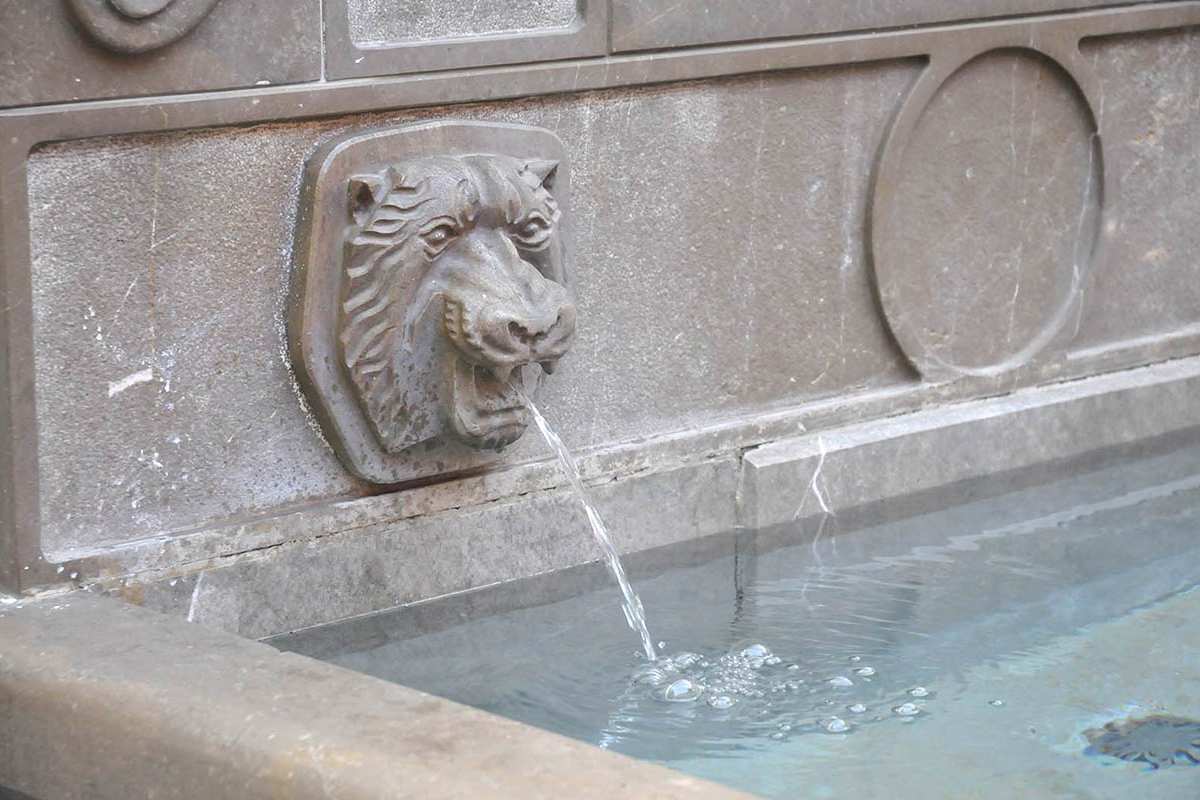 León en la fuente de la Catedral