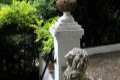 Leones como guardianes en el Carmen de la Victoria