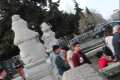 Leones (que no monos) en el puente romano del Genil