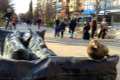 Un mirlo de bronce en las esculturas de la Avenida de Constitución