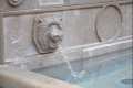 León en la fuente de la Catedral