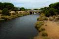 Flecha del Rompido - Caño de la Culata
