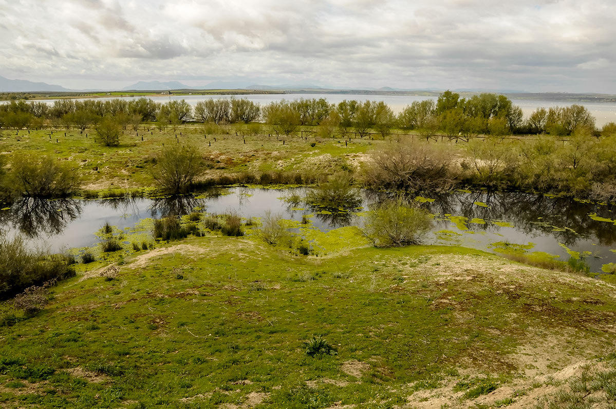 fuentedepiedra13