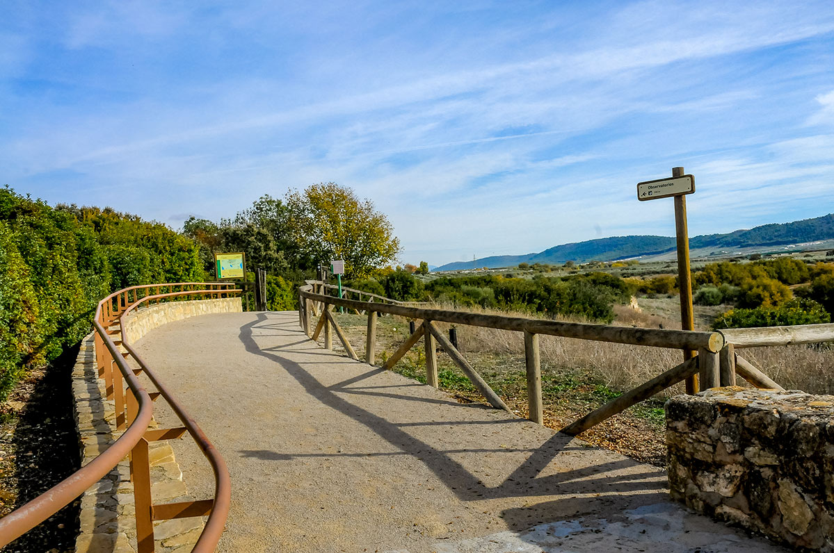 fuentedepiedra24