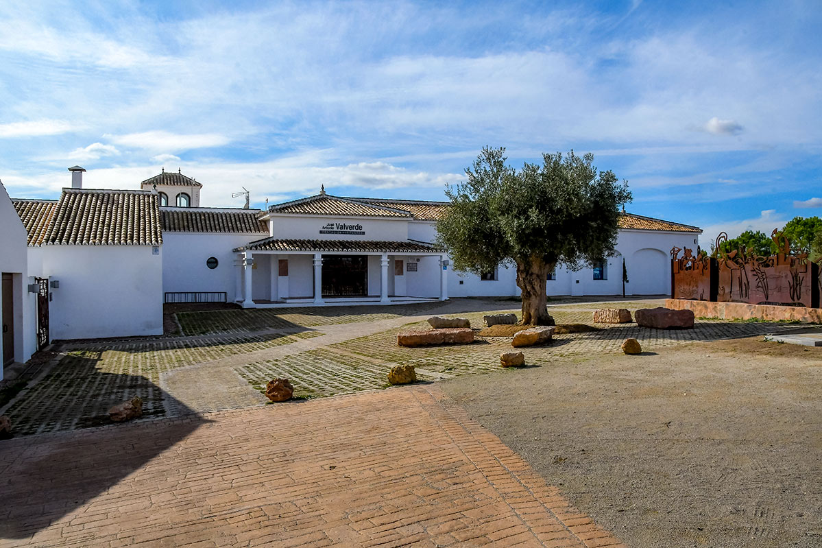 fuentedepiedra31