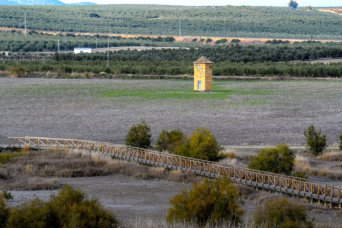 fuentedepiedra37