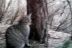 Gato montés, fototrampeo. J. M. Barea