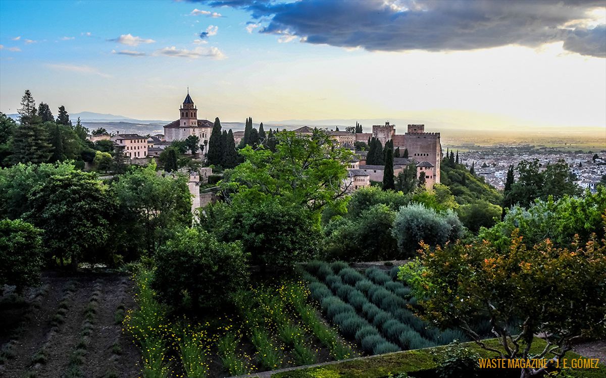 Generalife, palacio y jardines79