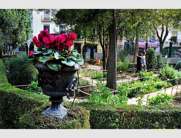 jardin-botanico-1