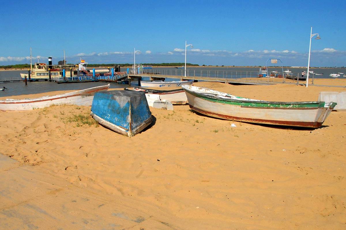 donana-cadiz-bajodeguia41