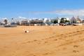 donana-cadiz-bajodeguia49