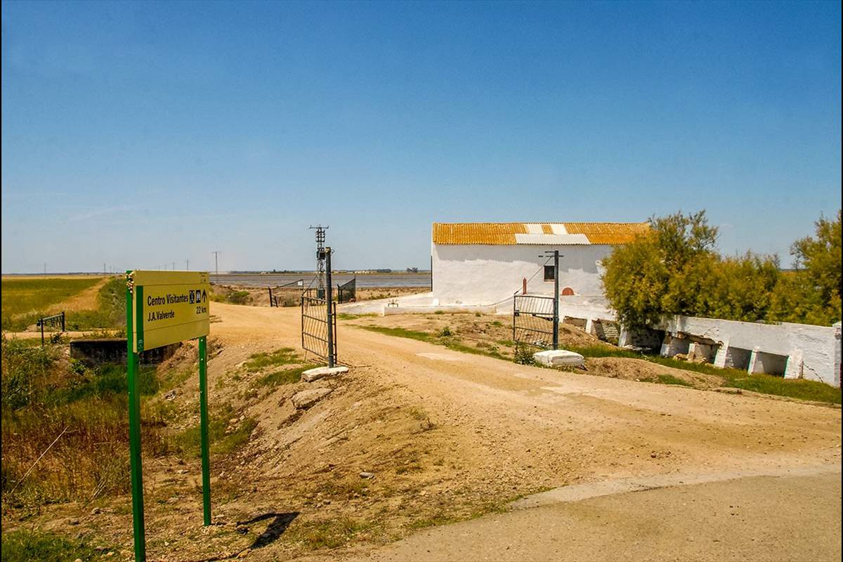 Corredor del Guadiamar