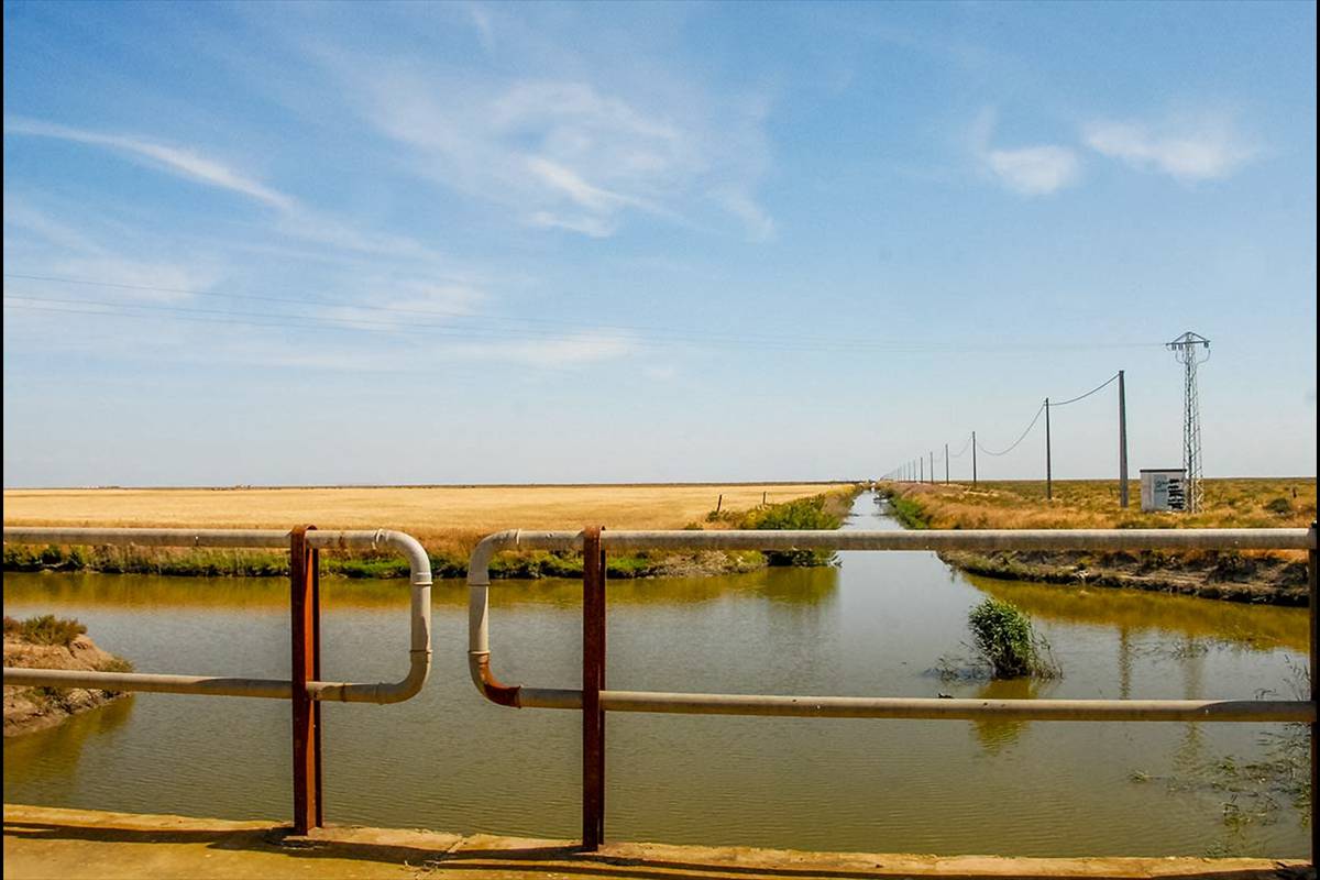 Corredor del Guadiamar
