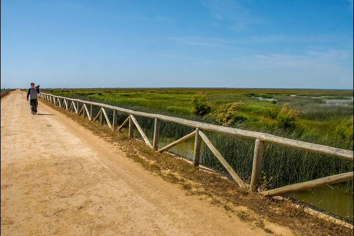 Corredor del Guadiamar