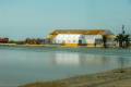 Corredor del Guadiamar, arrozales