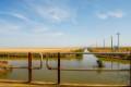 Corredor del Guadiamar