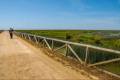 Corredor del Guadiamar