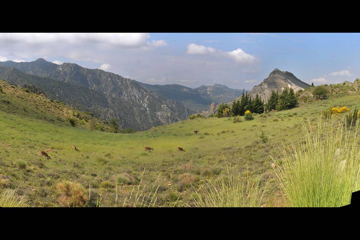 haza-larguilla-008