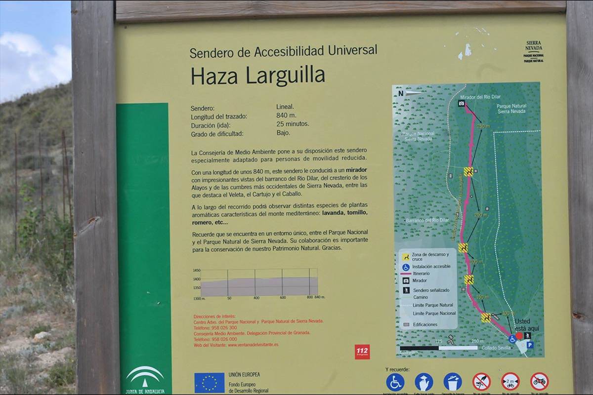hazalarguilla-cartel