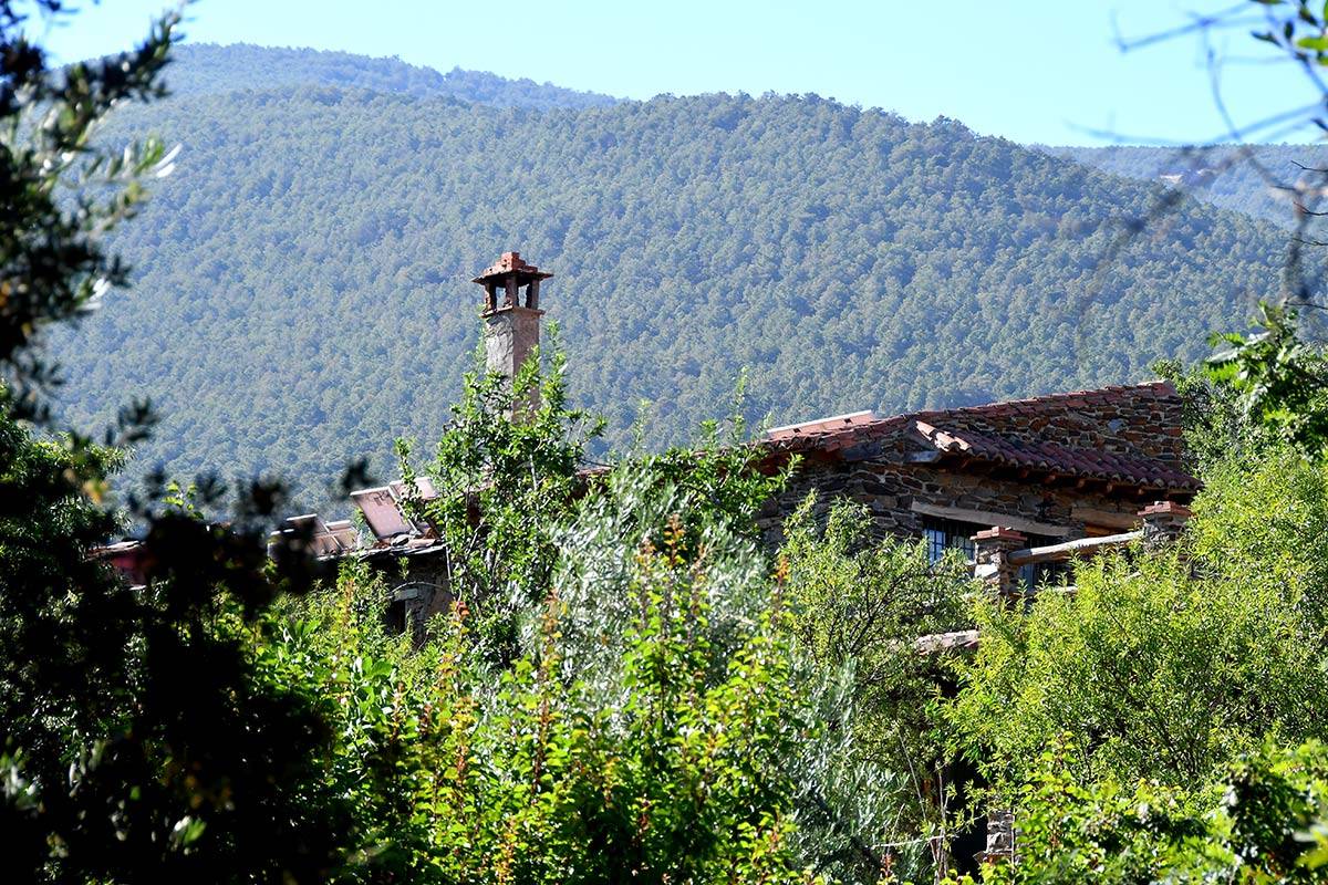 hueneja-castanar-06