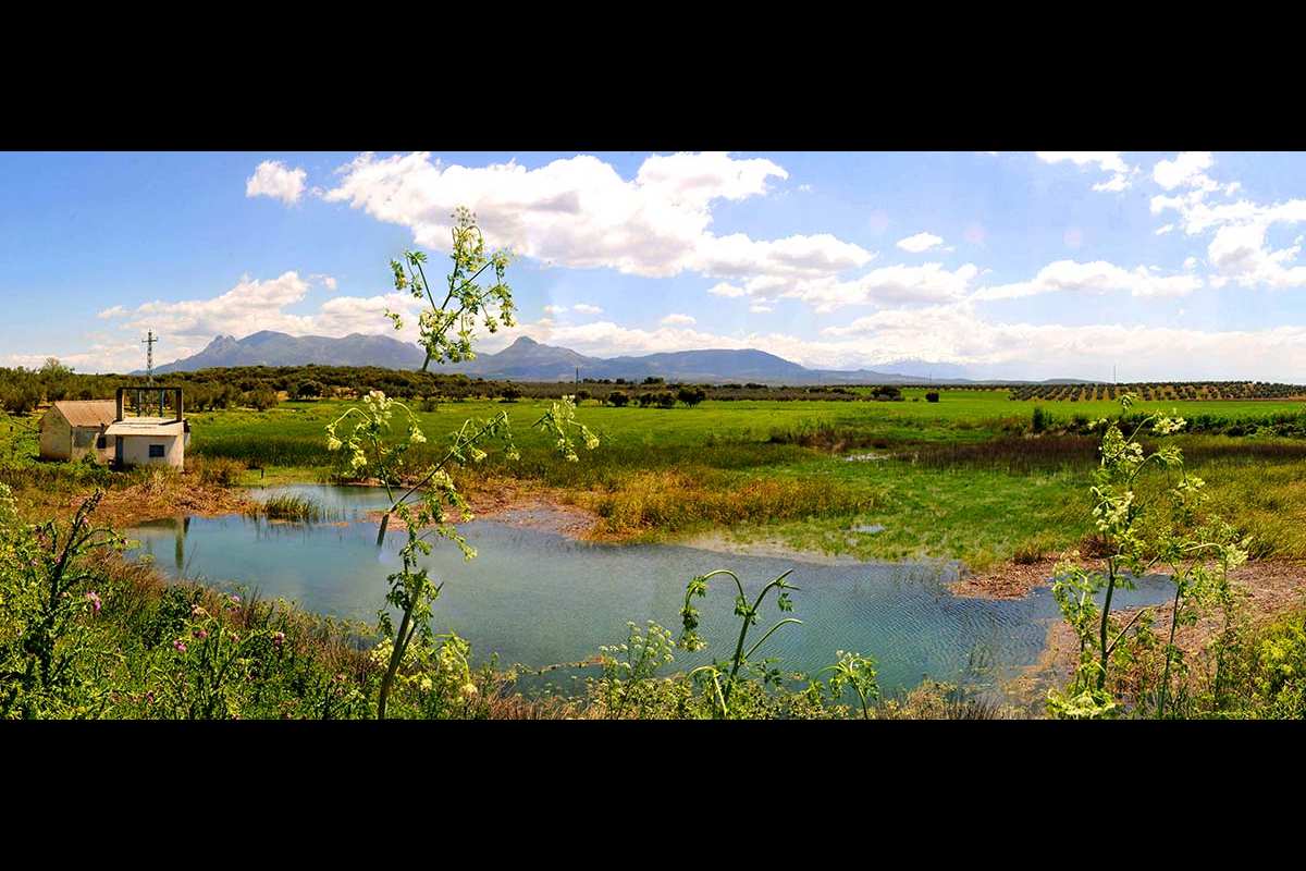 Laguna Los Arenales (Granada)
