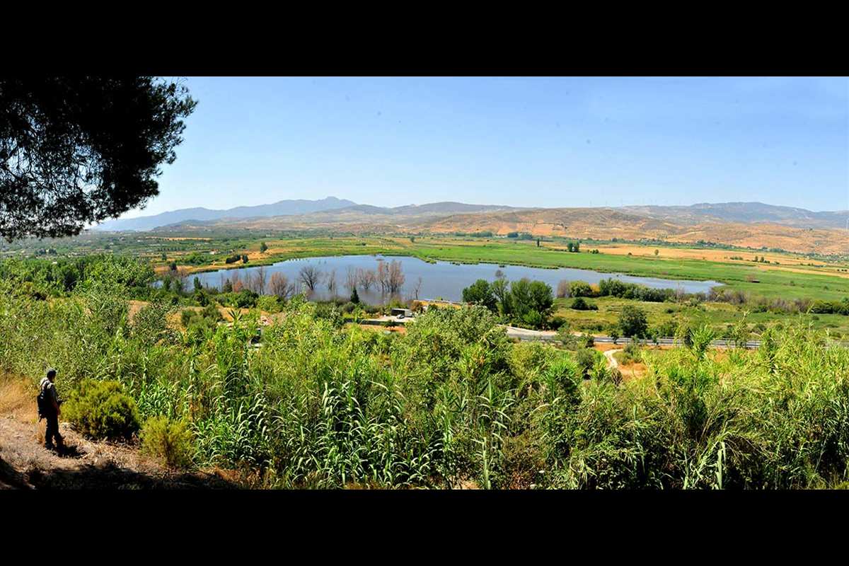 Lagunas y turberas de Padul (Granada)