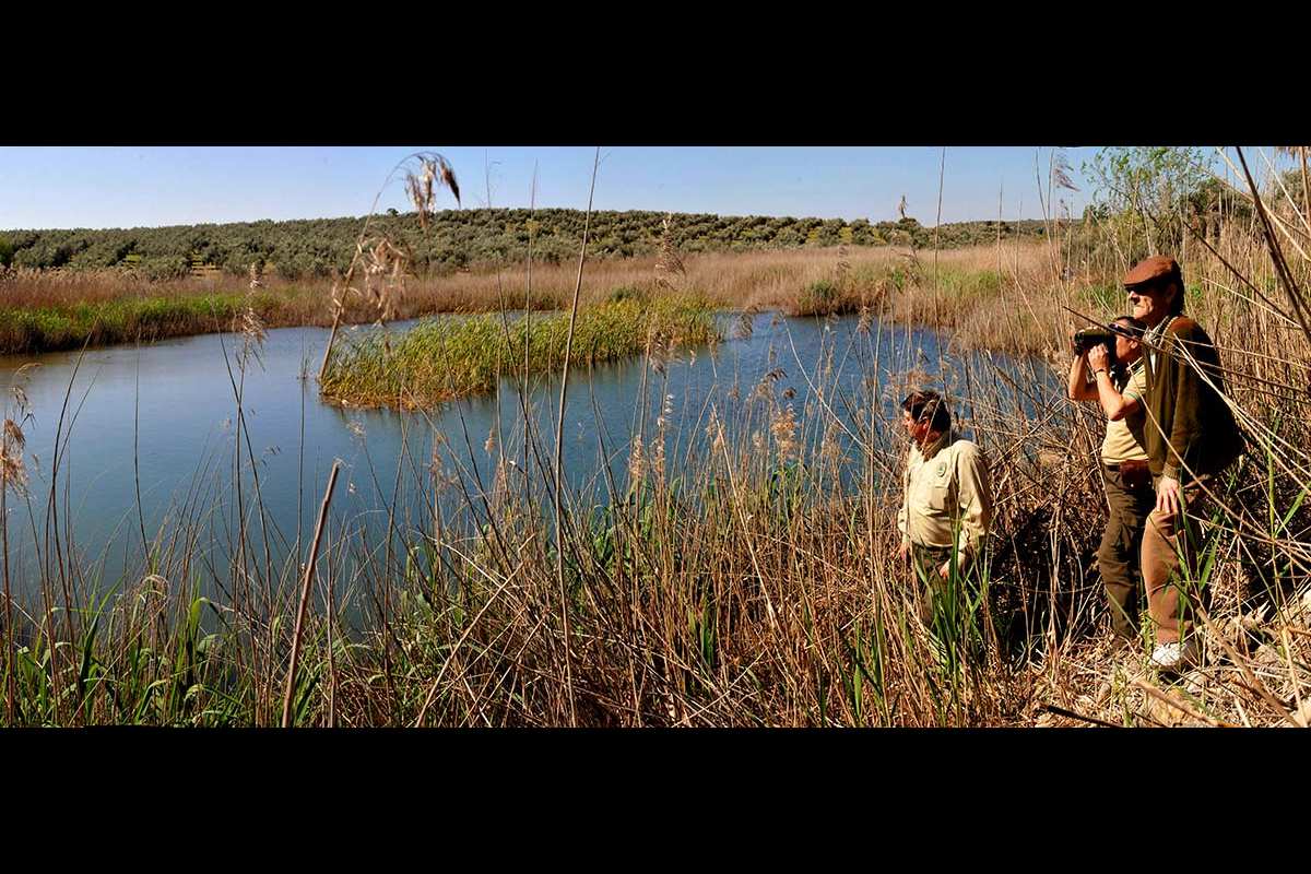Laguna Grande de Albolote (Granada)