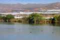 Albufera de Adra (Almería)