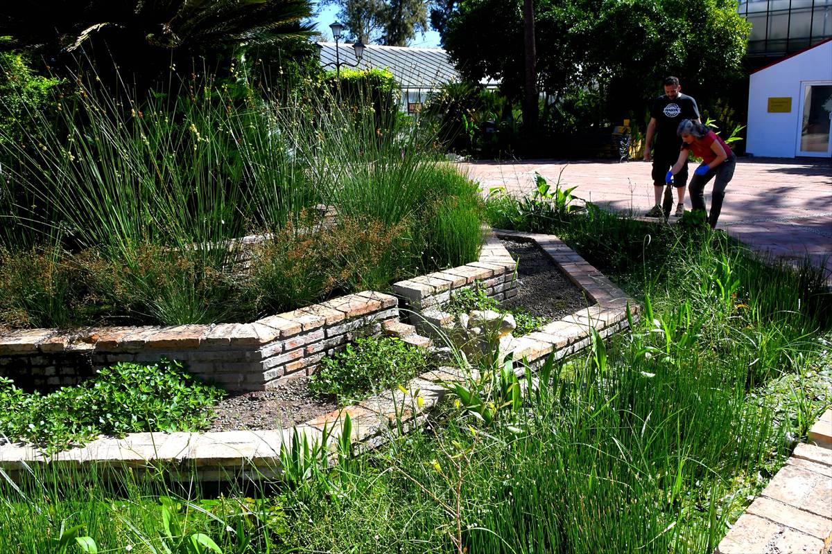 botanico-cordoba108