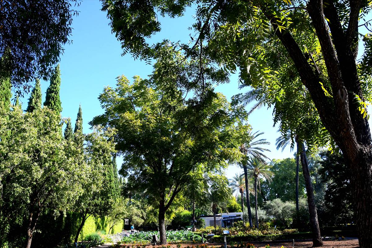 botanico-cordoba11