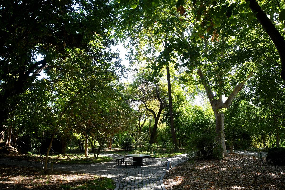 botanico-cordoba110