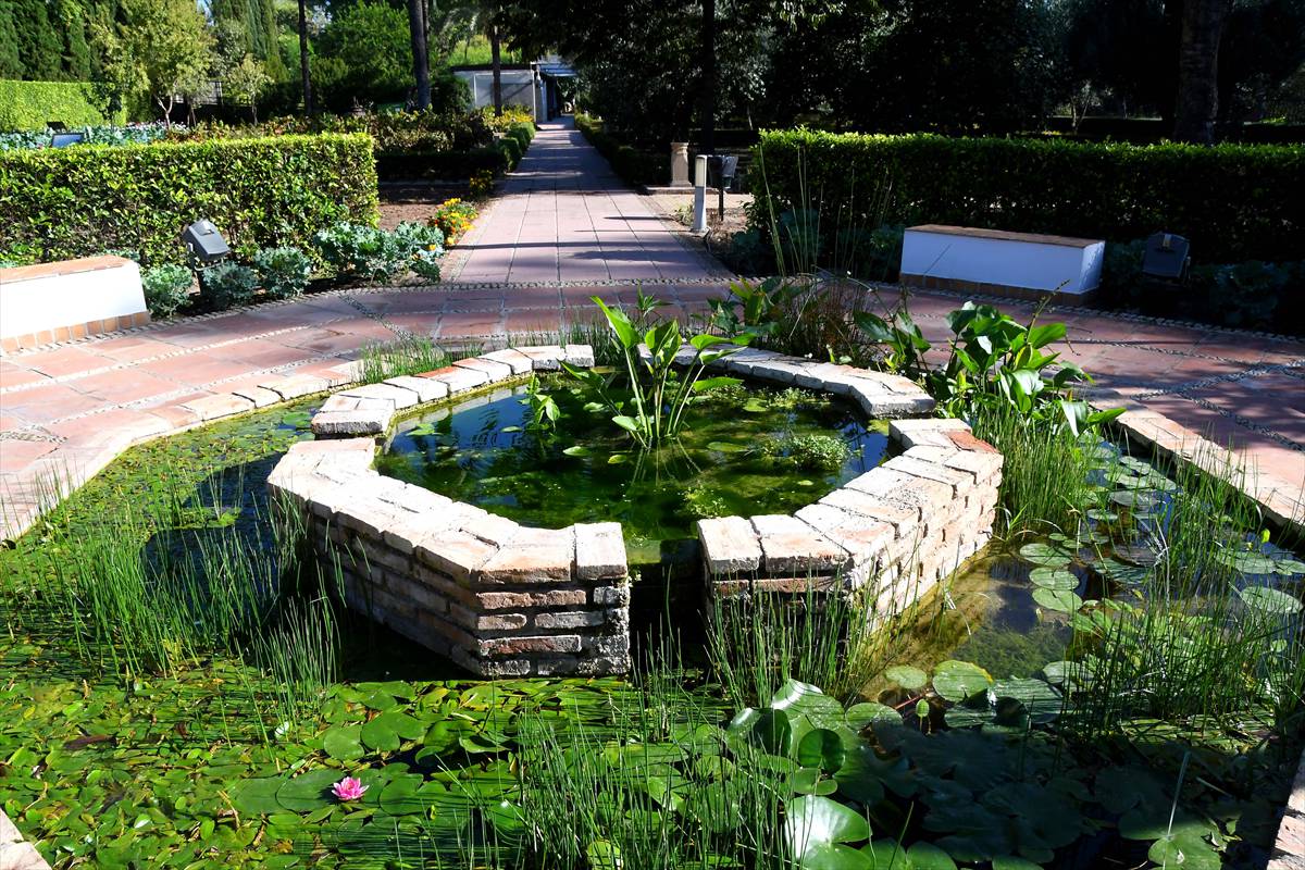 botanico-cordoba15