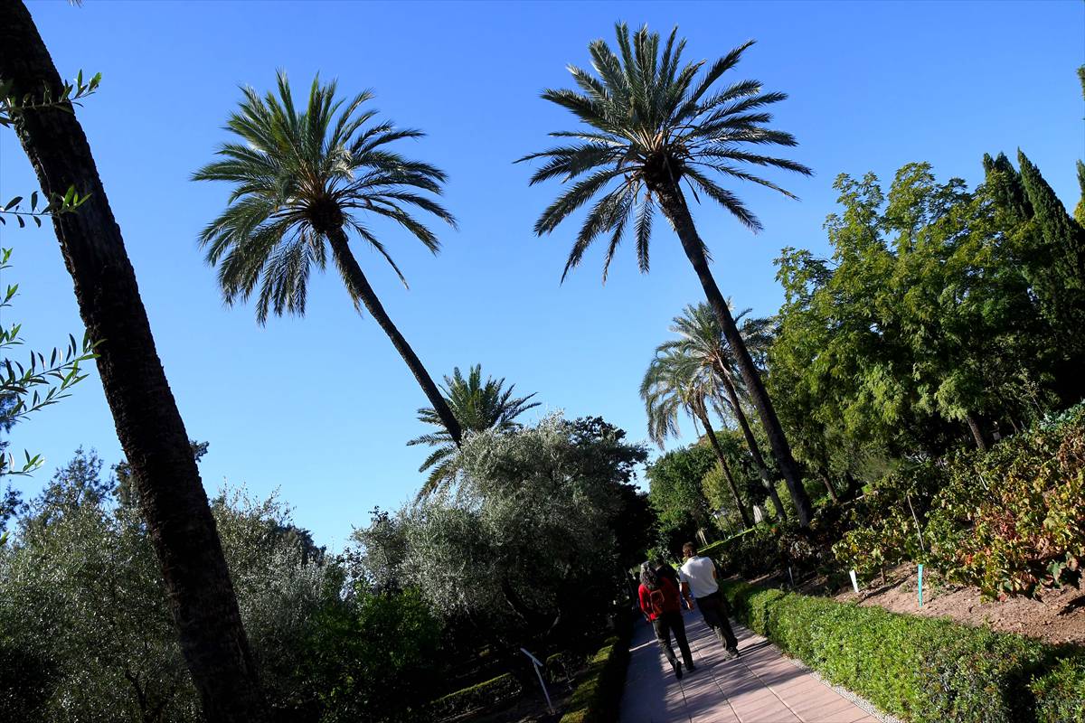 botanico-cordoba22