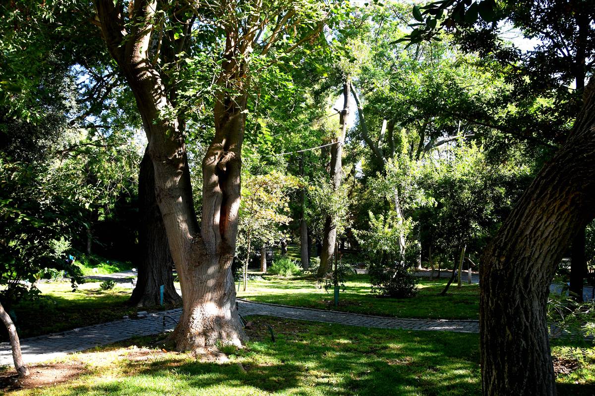 botanico-cordoba26