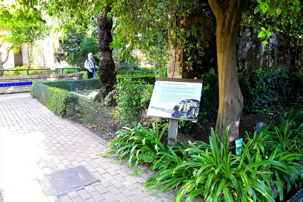 botanico-cordoba3