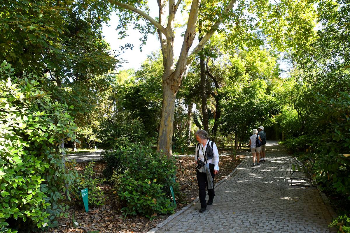 botanico-cordoba32