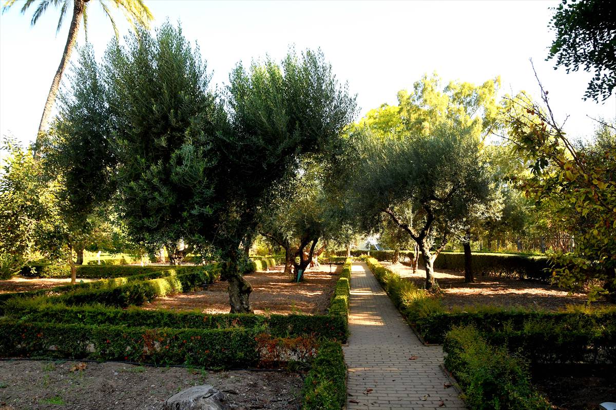 botanico-cordoba36