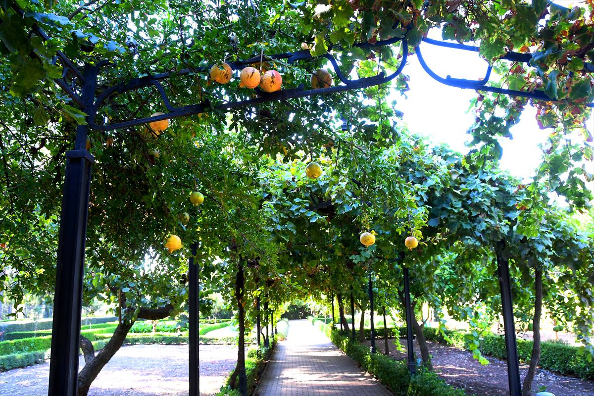 botanico-cordoba38