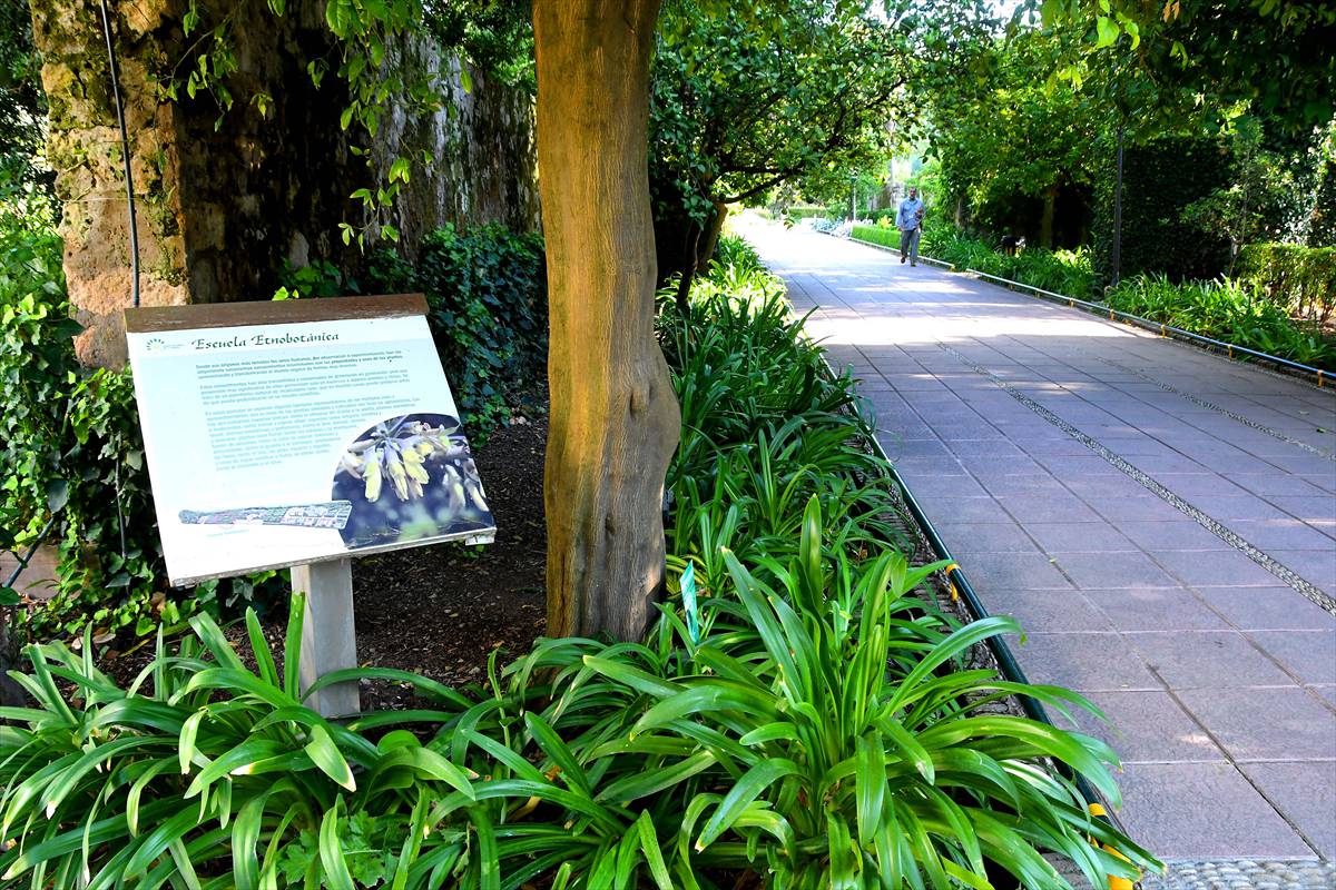 botanico-cordoba4