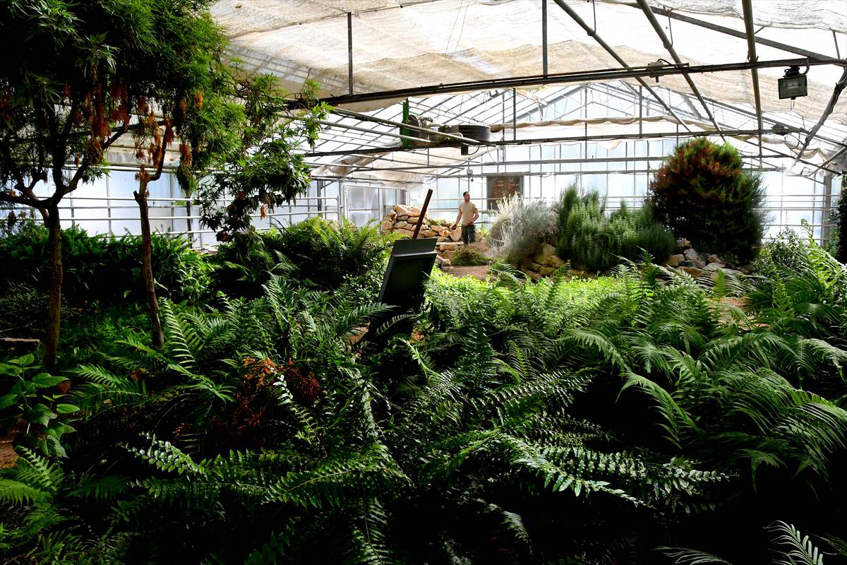 botanico-cordoba47