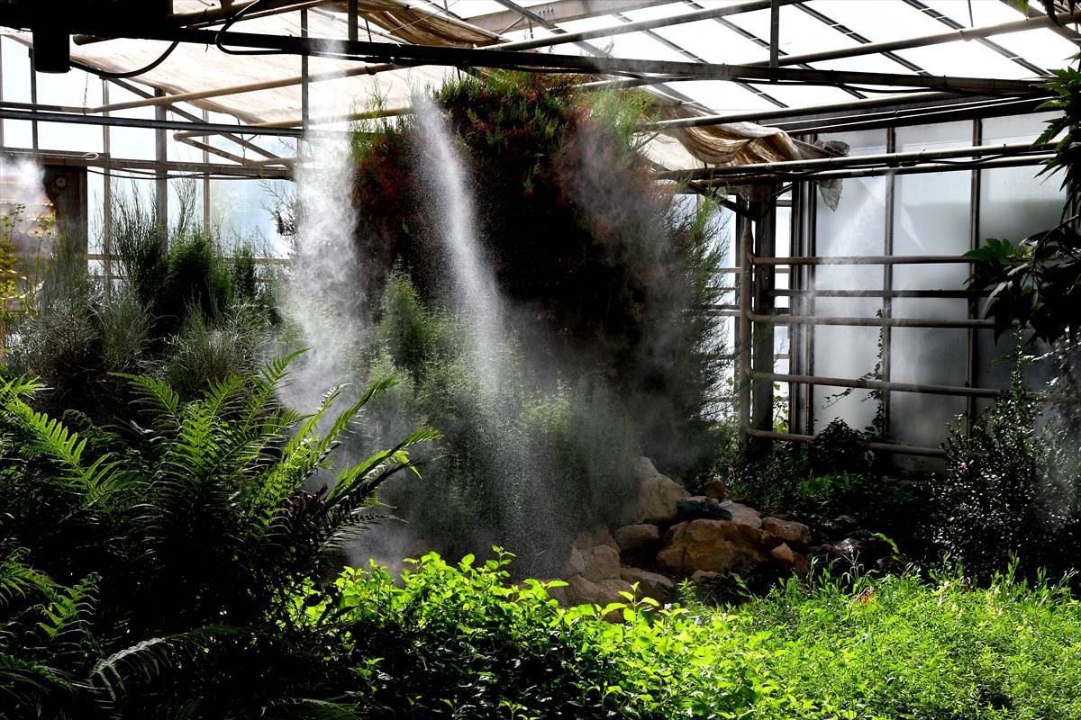 botanico-cordoba49